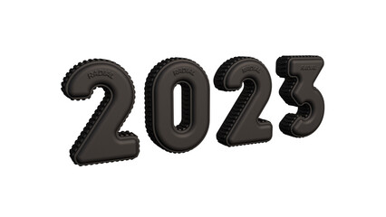 2023 pNEU
