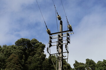 Poteau électrique d'une station hydraulique dans la forêt