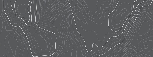 Black and white wave abstract topographic map contour, lines Pattern background. Topographic map and landscape terrain texture grid. Wavy banner and color geometric form. Vector illustration.
