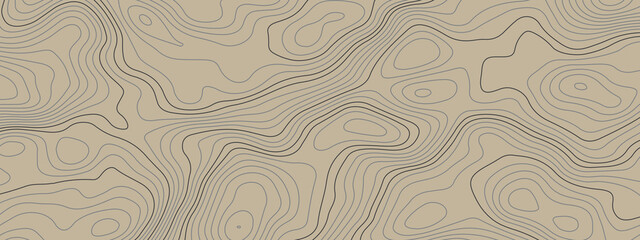 The stylized colorful wavy abstract topographic map contour, lines Pattern background. Topographic map and landscape terrain texture grid. Wavy banner and color geometric form. Vector illustration.