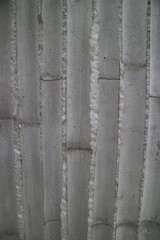 Fototapeta premium concrete wall texture, bamboo printed on cement, building exterior with gray concrete wall