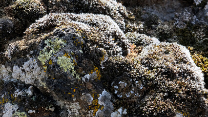 Kula Salihli Unesco Global Geopark. 
Black volcanic stones