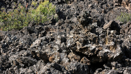 Kula Salihli Unesco Global Geopark. 
Black volcanic stones