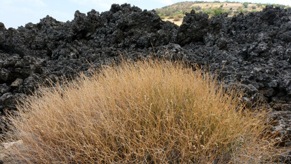Kula Salihli Unesco Global Geopark. 
Black volcanic stones