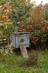 An old bee hive stands in an autumn garden