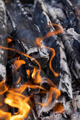Burning logs and boards in the fire