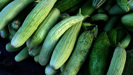 Armenian cucumbers waiting to be sold