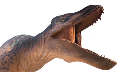 acrocanthosaurus png. acrocanthosaurus on a hollow background