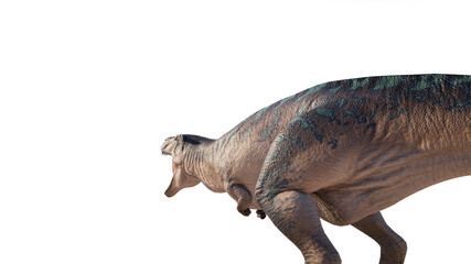 acrocanthosaurus png. acrocanthosaurus on a hollow background