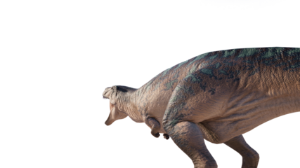 acrocanthosaurus png. acrocanthosaurus on a hollow background