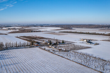 Winter view of apple orchards and fields in Rogow, Poland