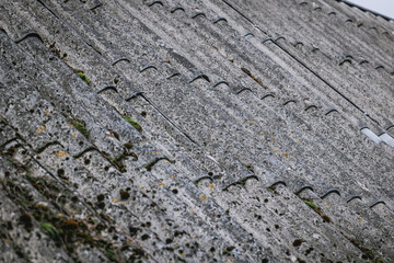 Details of corrugated asbestos roof on a farm building, Poland
