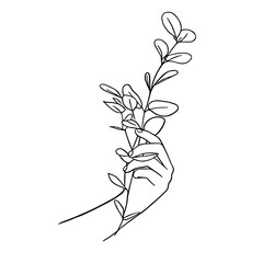 Line art minimal of hand holding organic plant in hand drawn concept for decoration, doodle contemporary style