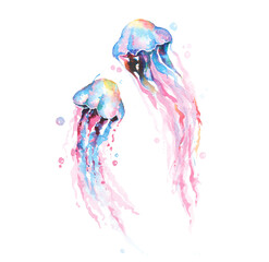 Hand drawn illustration jellyfish watercolor isolated on white background.Devilfish with tentacles swimming and living in the deep sea.In the form of fantasy.Clipping paths. © joy8046