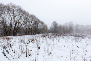 A swamp covered with snow and ice in the winter season