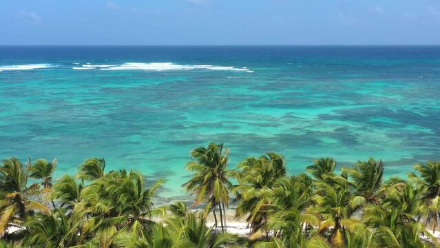 Tropical coastline with resorts, palm trees, caribbean sea and people having fun on beach. Travel destinations. Dominican Republic. Aerial view