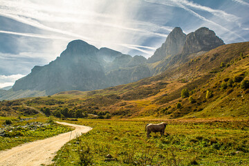L'autunno in Valle Ellero, ai confini tra Piemonte e Liguria
