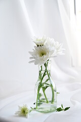 small bouquet of chrysanthemums on the windowsill, bw