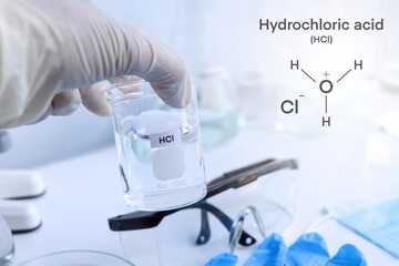 Fototapeta premium hydrochloric acid in glass, chemical in the laboratory and industry