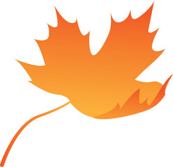 Gradiant Color Maple Leaf Fall