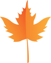 Gradiant Color Maple Leaf Fall