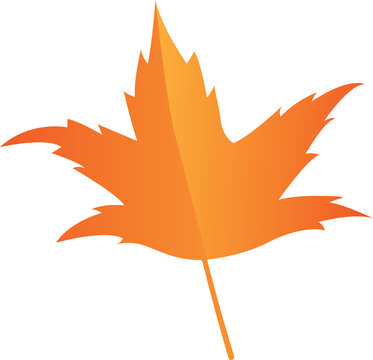 Gradiant Color Maple Leaf Fall