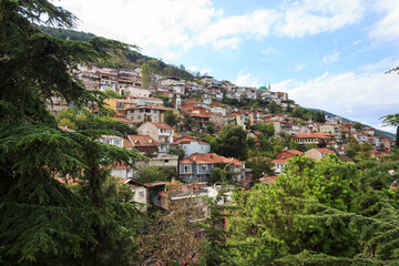 Fototapeta na wymiar Old houses on the hill. Historical Bursa city view with trees and clouds. Bursa is touristic destination in Turkey.