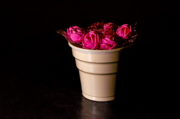 Pink flowers in pots. Pink color flower isolated on black background.
