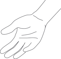 Hand Gesture Line Illustration Drawing