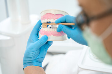 Artificial jaw and toothbrush in dentist arms in stomatology office