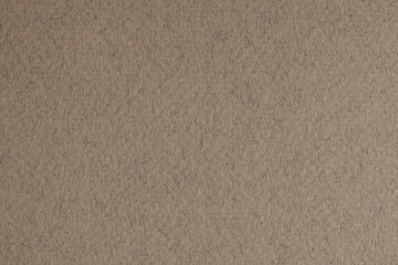 Fototapeta na wymiar Beige brown paper grain texture background.