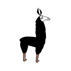 Funny cartoon style llama / alpaca. White background with a hairy body