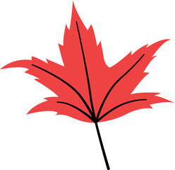 Maple Leaf Flat Illustration Decoratetion