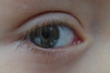 Obraz premium the green eye of a young man, parts of the human body