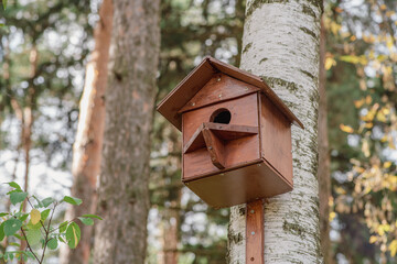 Birdhouse. Closed artificial nesting place for small birds, mainly nesting in hollows