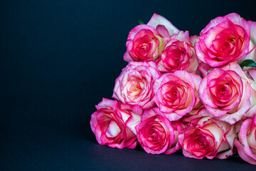Bouquet of pink-white roses lie on a black background. Postcard with copy space. Concept congratulation, important day, wedding, birthday, valentine, announcement, invitation, party,mocap, poster.