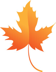 Maple Leaf Isolated Illustration Leaves