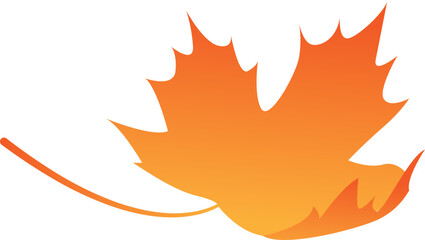Maple Leaf Isolated Illustration Leaves