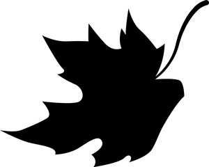 Maple Leaf Silhouette Illustration Leaves