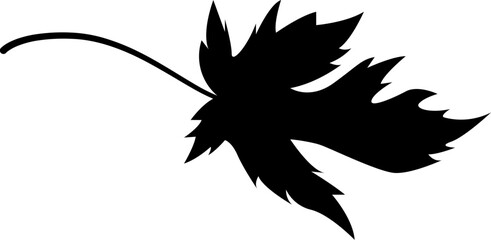 Maple Leaf Silhouette Illustration Leaves