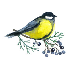 Watercolor cute christmas bird on the white background. New year art illustration. Vintage graphic for fabric,tee-shirt, postcard, greeting card, book, poster, sticker