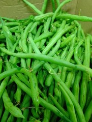 green beans on the market