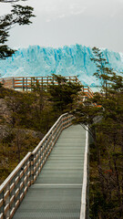 Walkway to the glacier