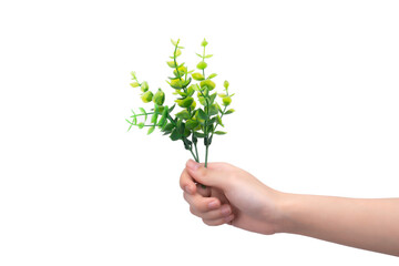 Fototapeta na wymiar A hand holds plants against a white background