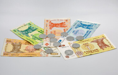 coins and paper money of Moldova closeup on white