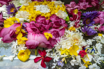 Offering of flowers at the Gangaramaya temple, Colombo, Sri Lanka 