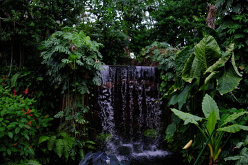 温室の滝　Greenhouse Waterfall