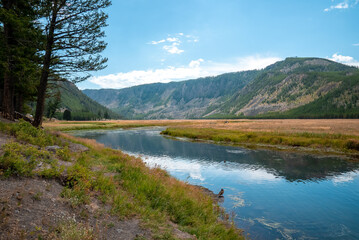 Fototapeta na wymiar Scenic view of creek flowing by trees and mountain. Beautiful natural scenery at Yellowstone national park. Tranquil viewpoint in idyllic valley at famous tourist attraction.