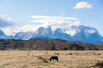 Torrs del Paine - Chile