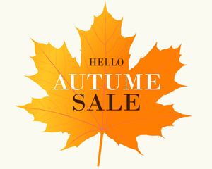 Hello autumn orange maple leaf isolated on transparent background. Vector Illustration.